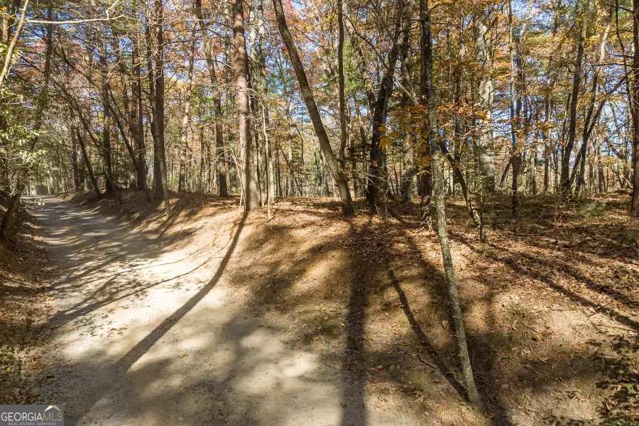 TR 2 Old Anderson Creek, Ellijay, GA 30536 - #3
