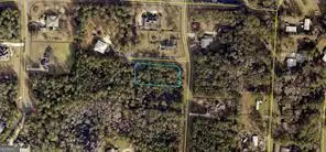 LOT 110 Marina Isle Drive, Woodbine, GA 31569 - Image #1