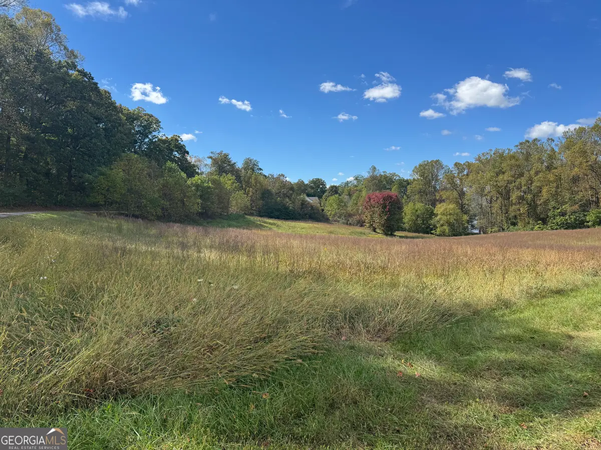 1402 Holly Point Drive, Hiawassee, GA 30546 - Image #1