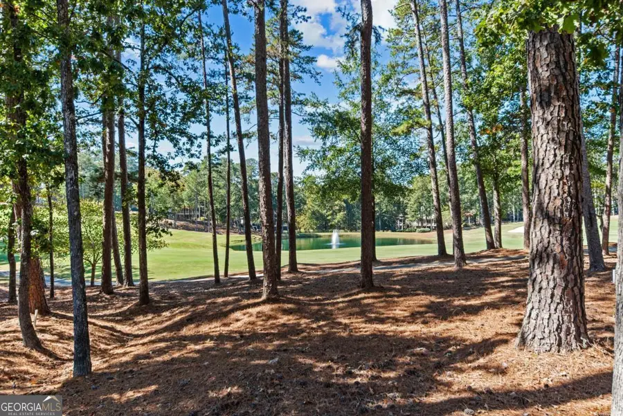 1191 Linger Longer Drive, Greensboro, GA 30642 - Image #3