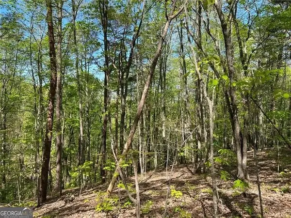 269 Appleberry Mountain Road, Waleska, GA 30183