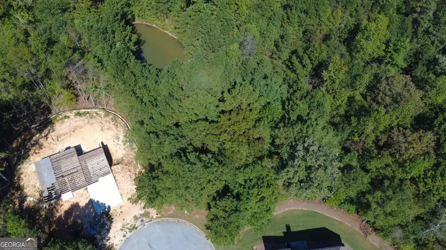 698 Butch Art Place, South Fulton, GA 30213 - Image #3