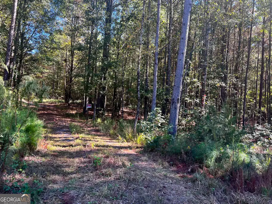 0 Parks Road, Forsyth, GA 31029 - Image #3