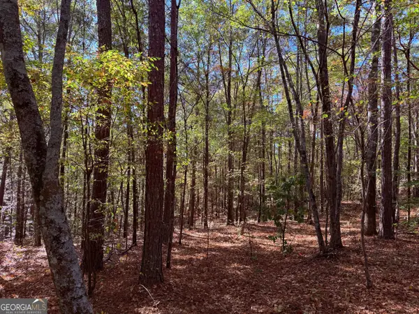 977 Whooping Creek Road, Carrollton, GA 30116