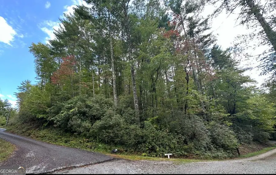 LOT 7 Sequoia Hills Lane #7, Clayton, GA 30525 - Image #3