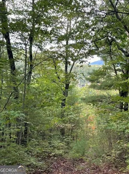 LOT 6 Sequoia Hills Lane #6, Clayton, GA 30525 - Image #3