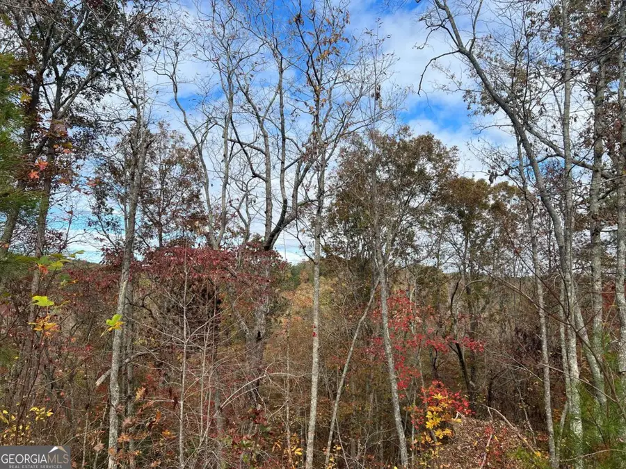 1077 Harris Creek Drive, Ellijay, GA 30540 - Image #2