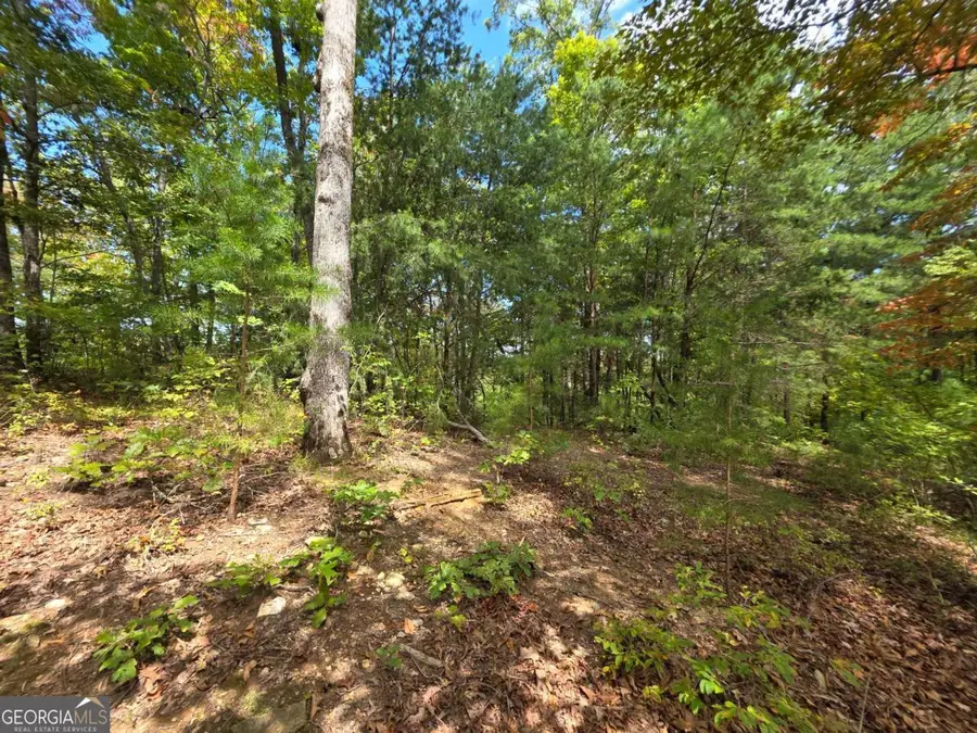 1077 Harris Creek Drive, Ellijay, GA 30540 - Image #3