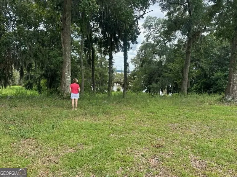 1 Flintview Drive, Cordele, GA 31015 - #1