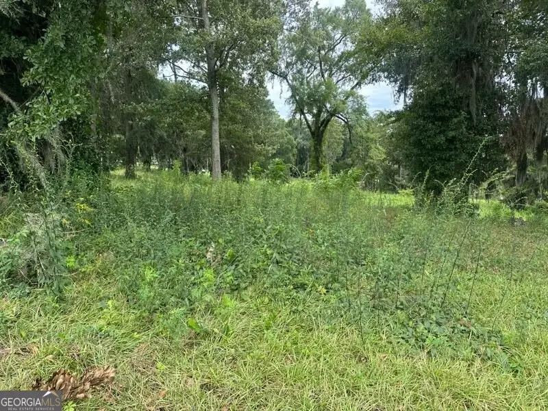 3 Flintview Drive, Cordele, GA 31015 - #2