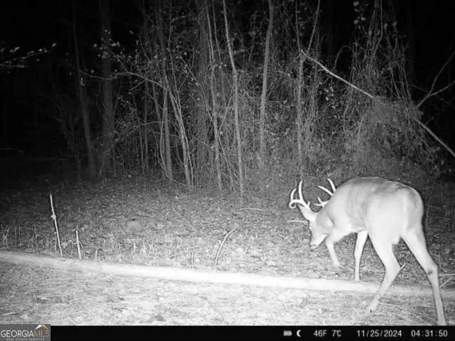 0 Mixon Road, Tallapoosa, GA 30176 - Image #2