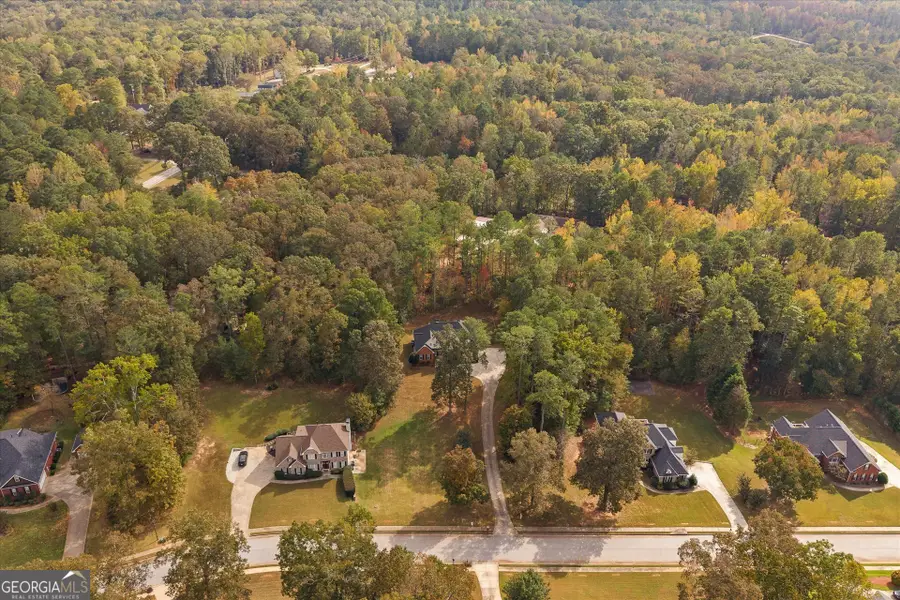 6645 Ashebrooke Drive, Douglasville, GA 30135 - Image #3