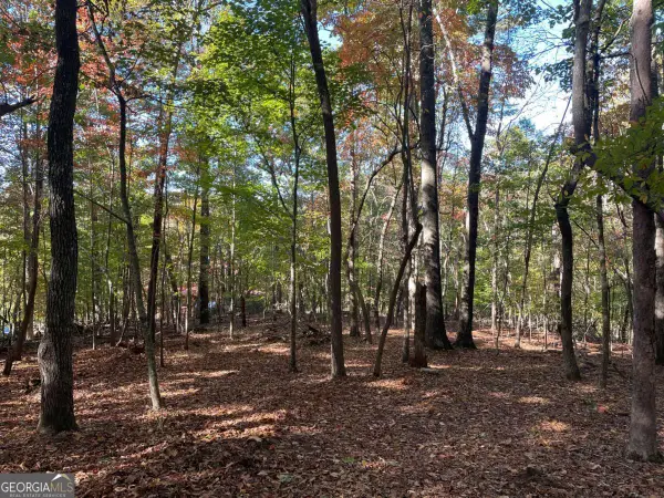 LOT 4 Covered Bridge Road, Blairsville, GA 30512