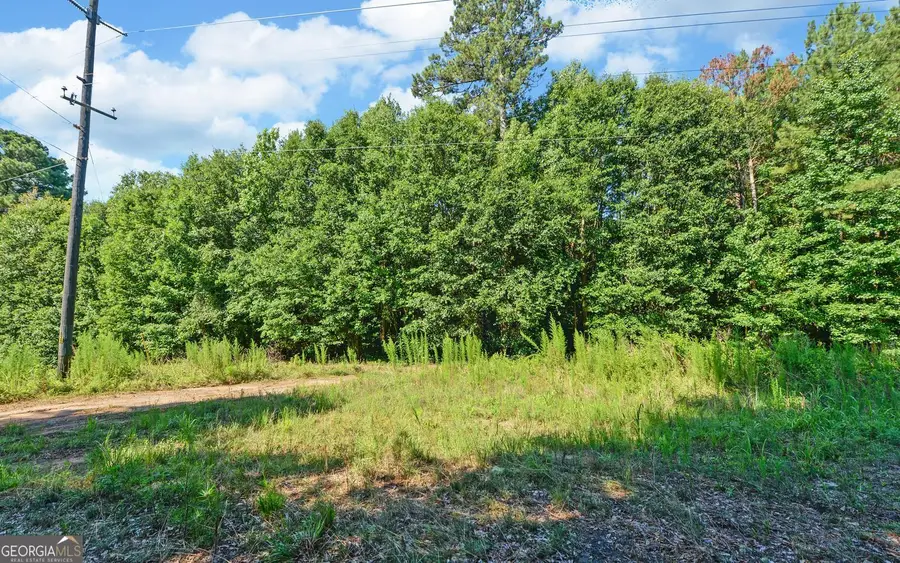 0 Hwy 17, Royston, GA 30662 - #2