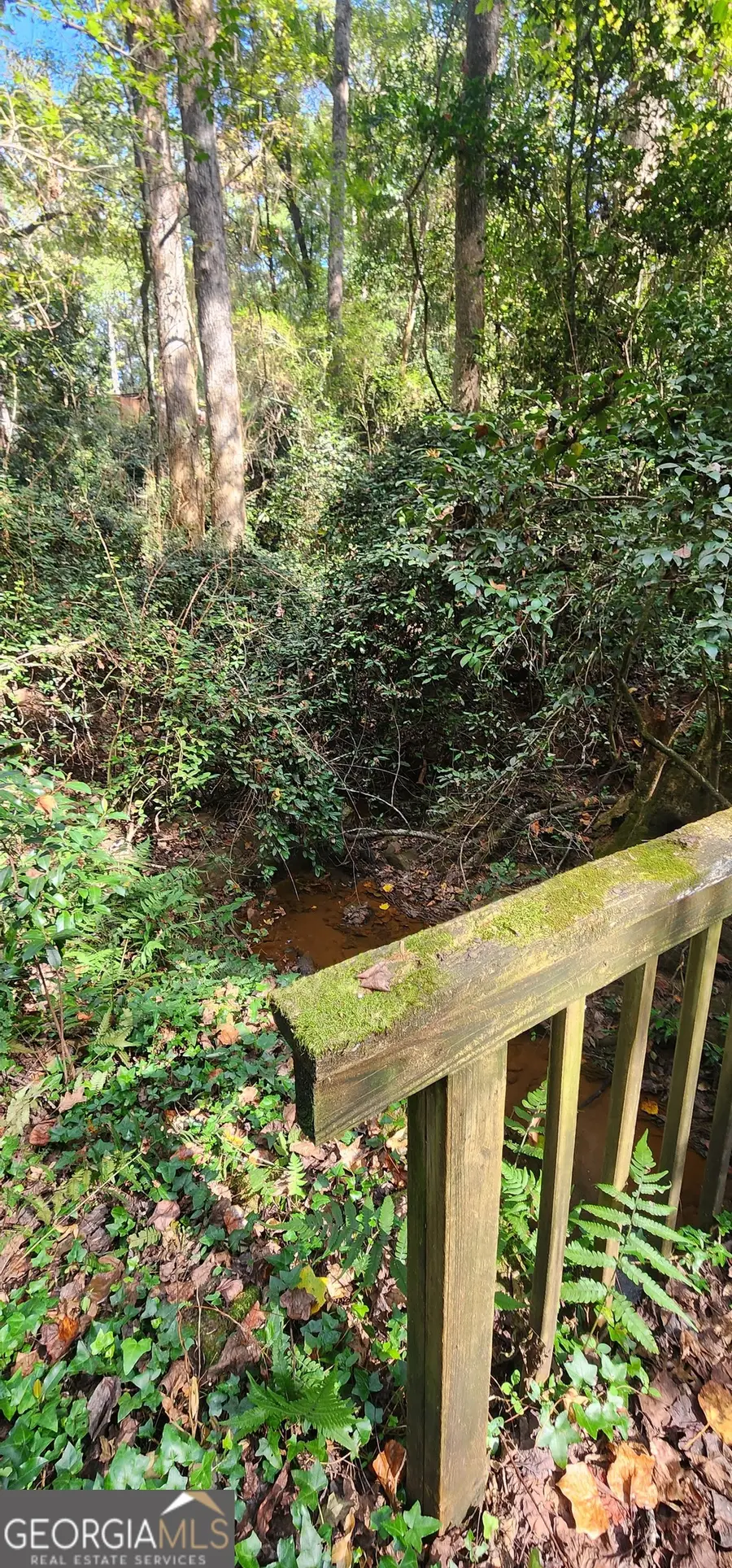 0 Twelfth Avenue, Thomaston, GA 30286 - Image #2