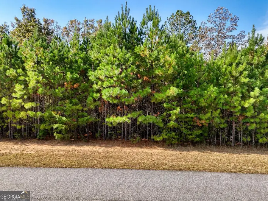 LOT 42 Northshore, Blairsville, GA 30512 - Image #2