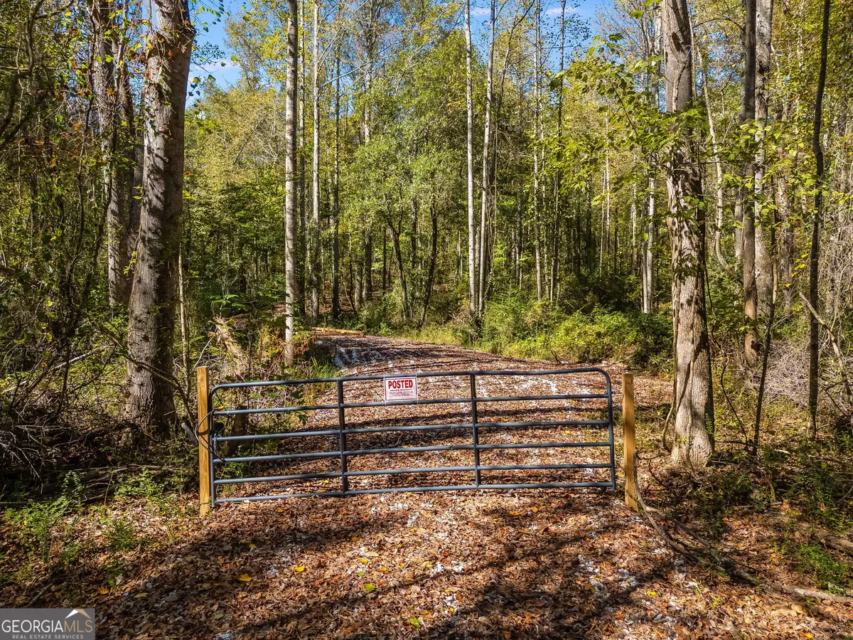 0 Hog Liver Road, Carrollton, GA 30117 - Image #1