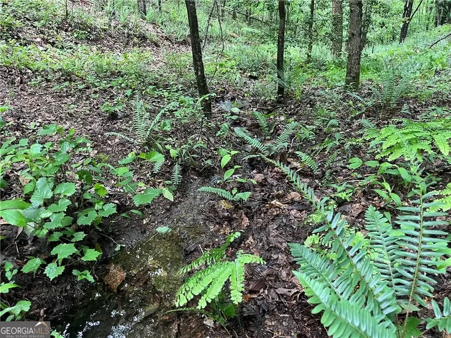 1720 Rebekah Ridge Road, Talking Rock, GA 30175 - #2