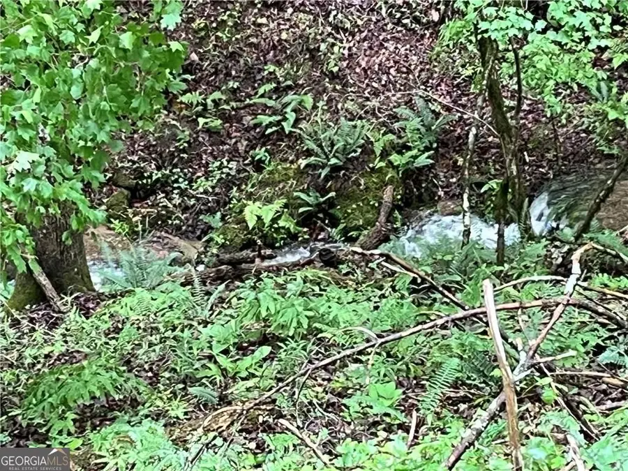 1720 Rebekah Ridge Road, Talking Rock, GA 30175 - #3