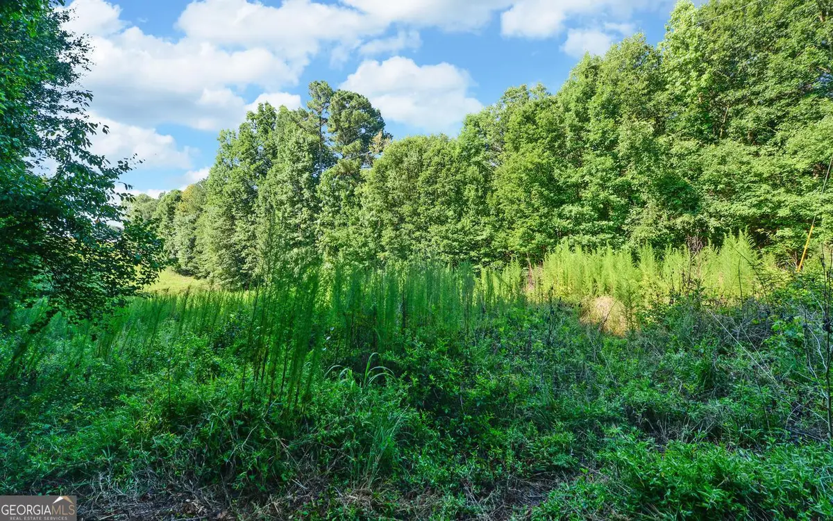 0 Hwy 17, Royston, GA 30662 - #1