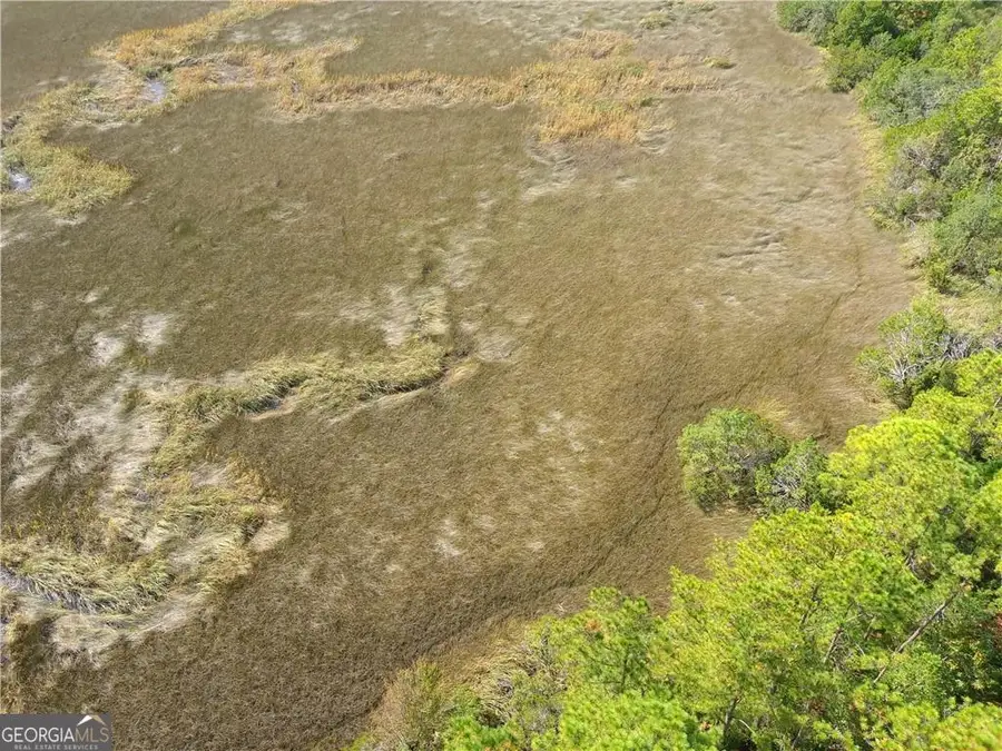 0 Confederate Point Drive, White Oak, GA 31568 - Image #2