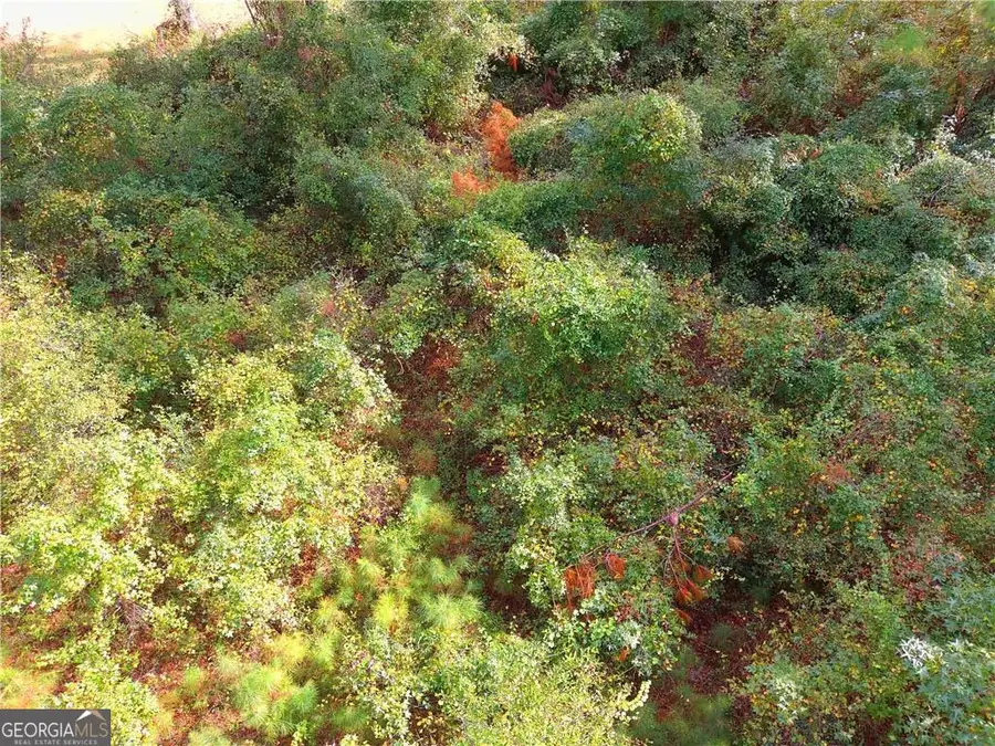 0 Confederate Point Drive, White Oak, GA 31568 - Image #3