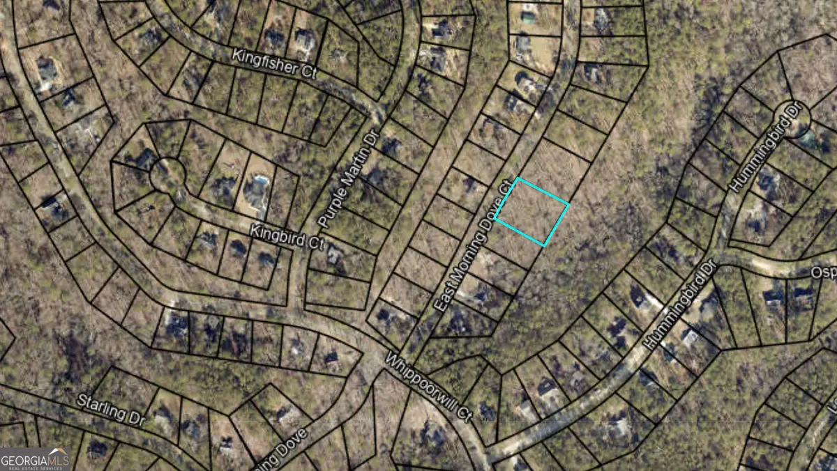 0 E Mourning Dove Court #LOT 5, Monticello, GA 31064 - Image #1