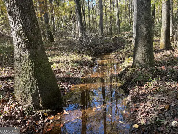 0 Bolton Road, Zebulon, GA 30295