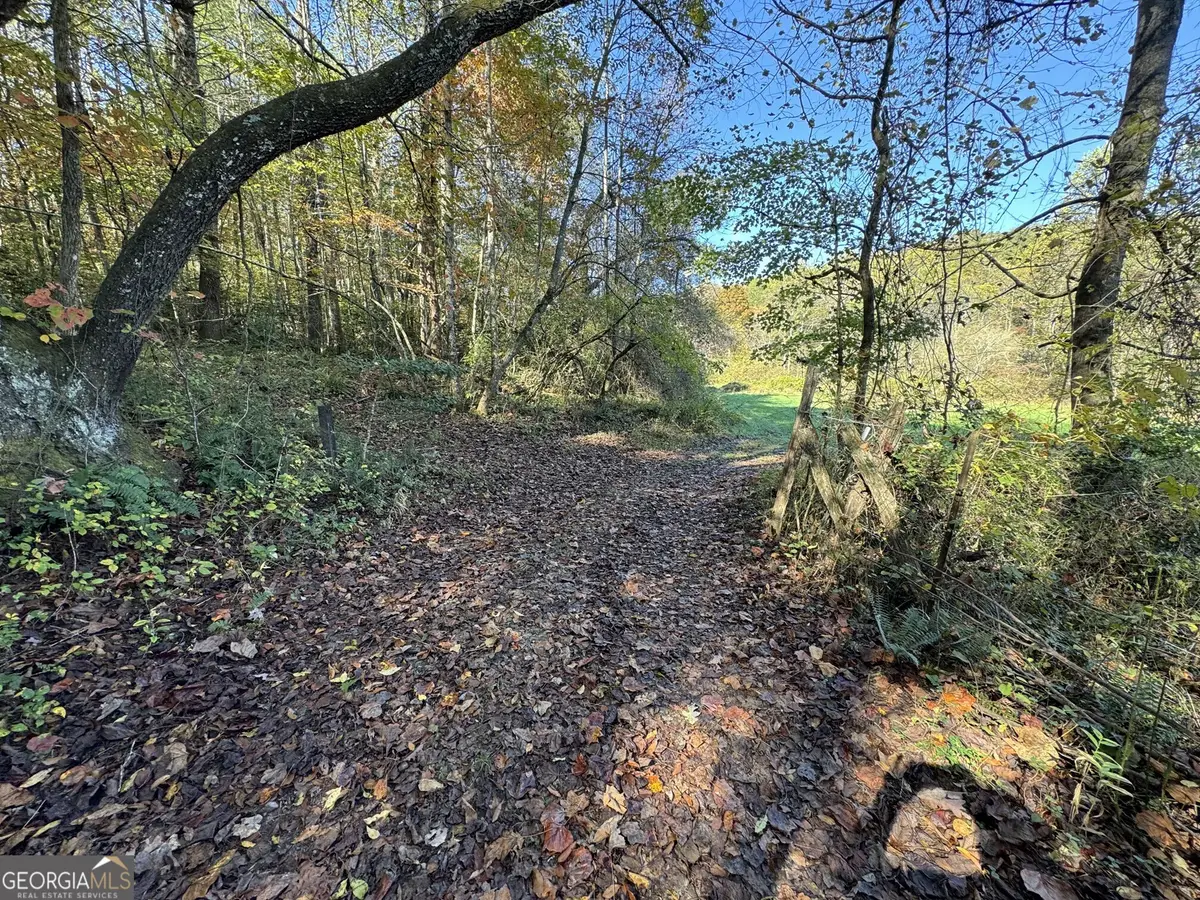 0 Saffron Lane, Blue Ridge, GA 30513 - Image #1