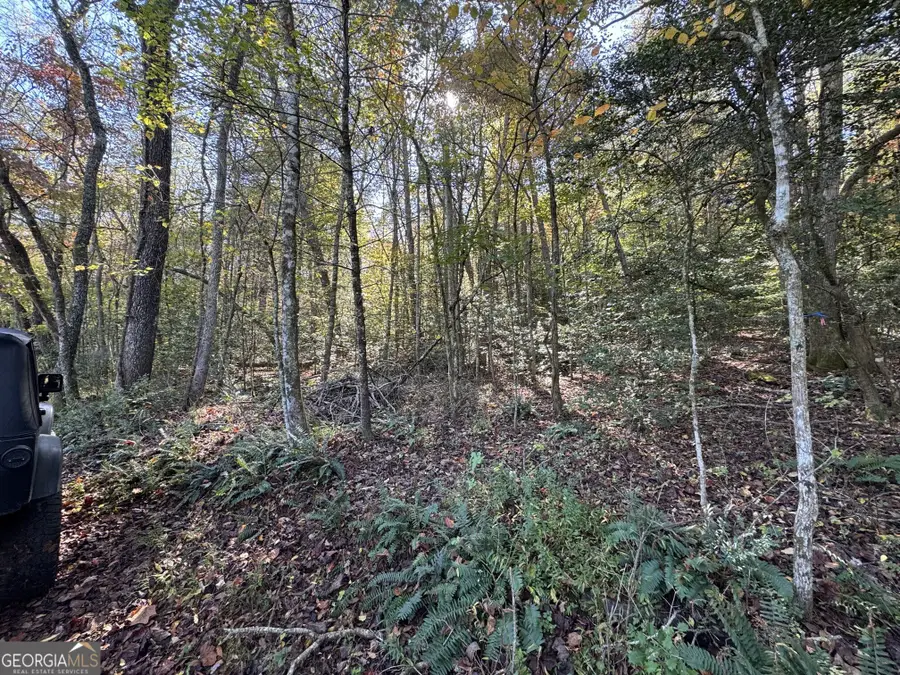 0 Saffron Lane, Blue Ridge, GA 30513 - Image #2
