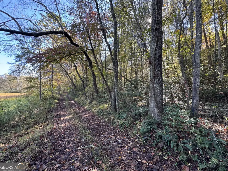 0 Saffron Lane, Blue Ridge, GA 30513 - Image #3