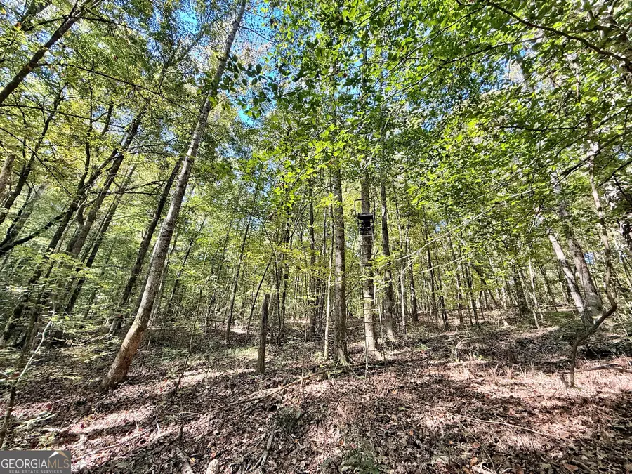 3355 Sr 42 N, Forsyth, GA 31029 - Image #2