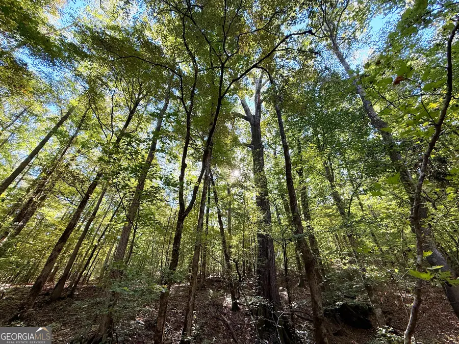 3355 Sr 42 N, Forsyth, GA 31029 - Image #3