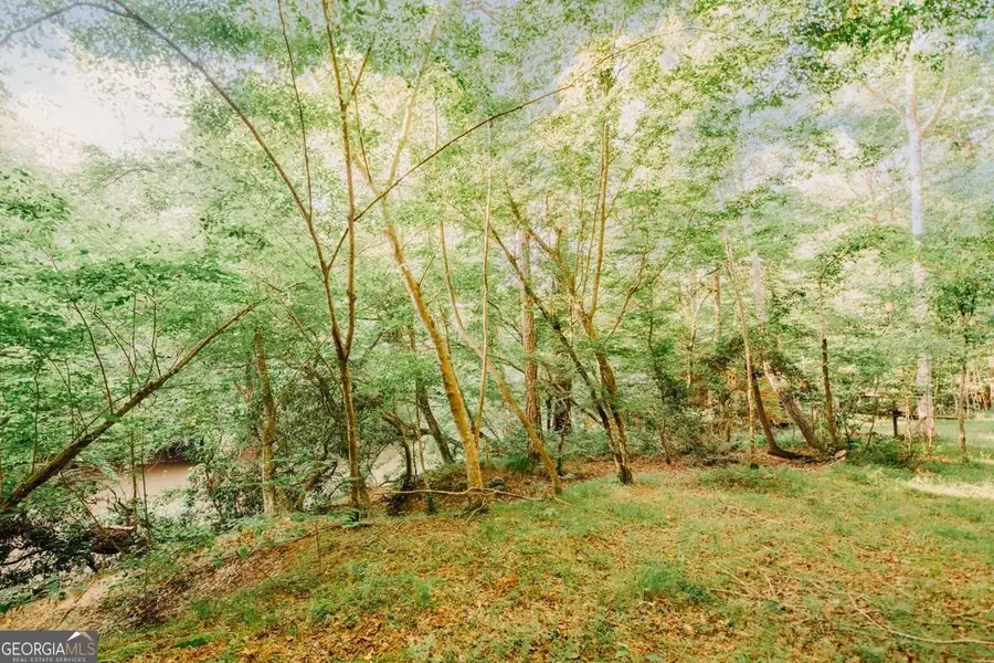 329 Twisting Ridge Trail, Demorest, GA 30535 - Image #3