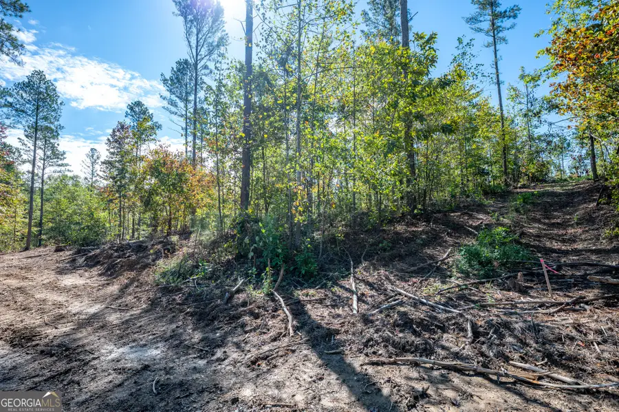 3805 Hwy 140 Ne, Rydal, GA 30171 - Image #3