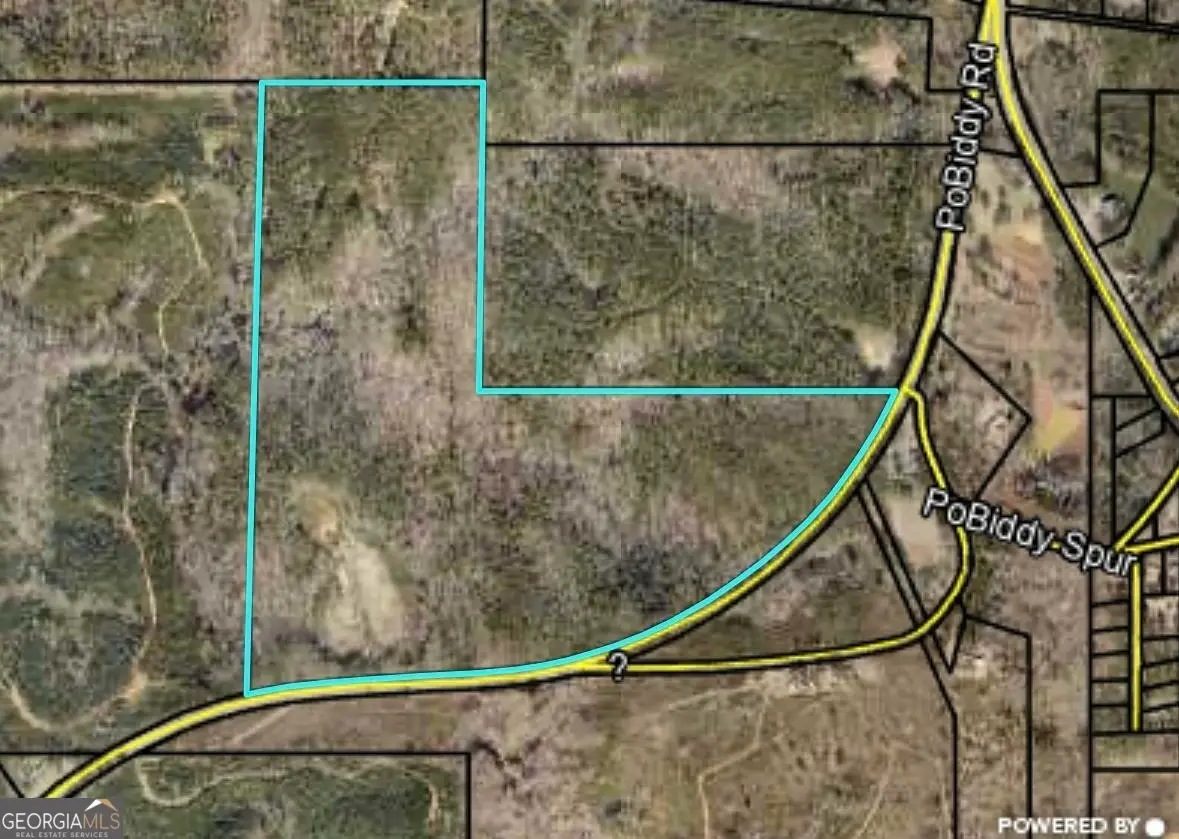 40 ACRES Pobiddy Road, Thomaston, GA 30286 - Image #1
