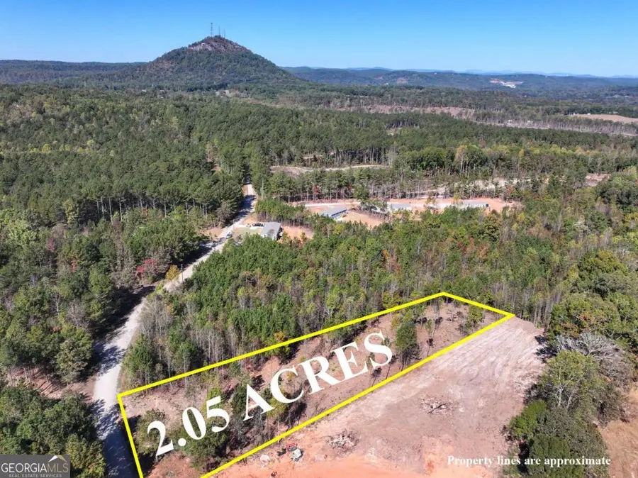 939 W Leatherwood Road, Toccoa, GA 30577 - Image #3