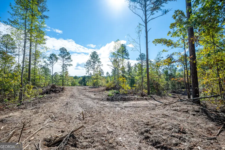 3801 Hwy 140 Ne, Rydal, GA 30171 - Image #3