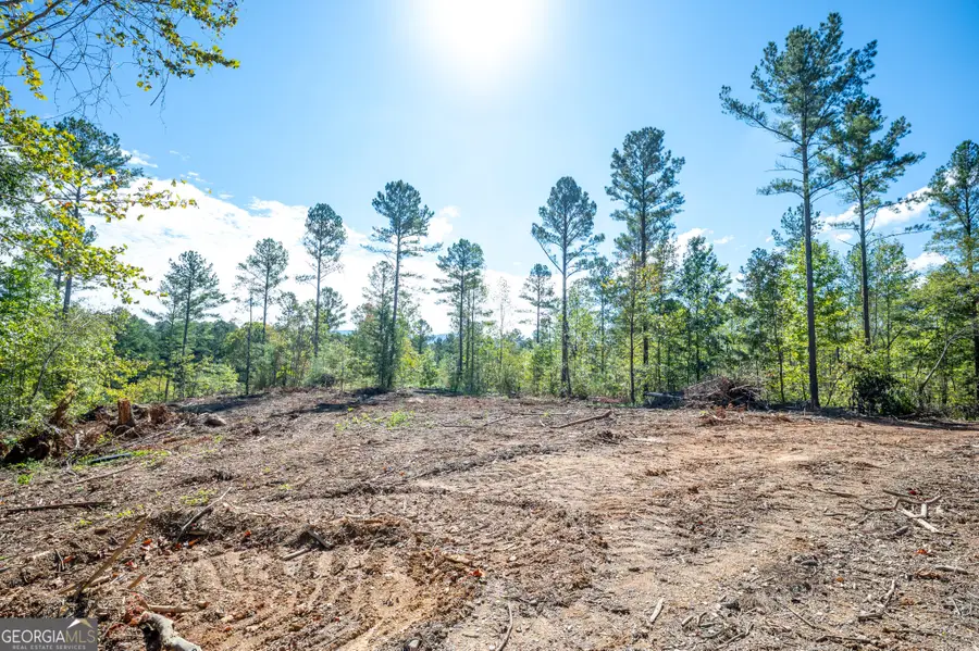 3797 Hwy 140 Ne, Rydal, GA 30171 - Image #3