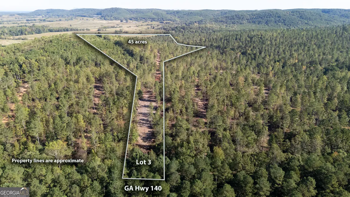 3793 Hwy 140 Ne, Rydal, GA 30171 - Image #1