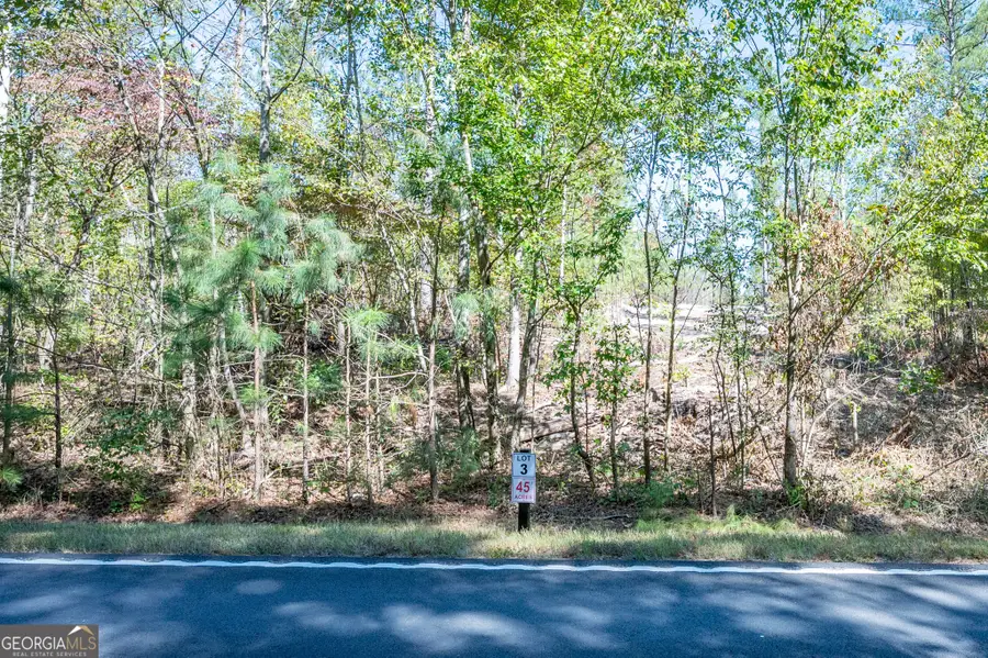 3793 Hwy 140 Ne, Rydal, GA 30171 - Image #2