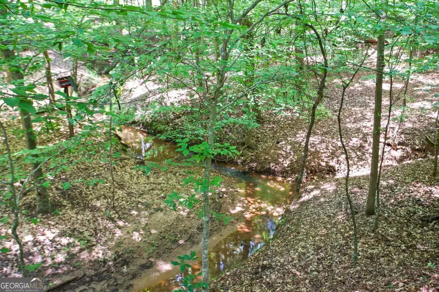 LOT20A Tanglewood Road, Newnan, GA 30263 - Image #3