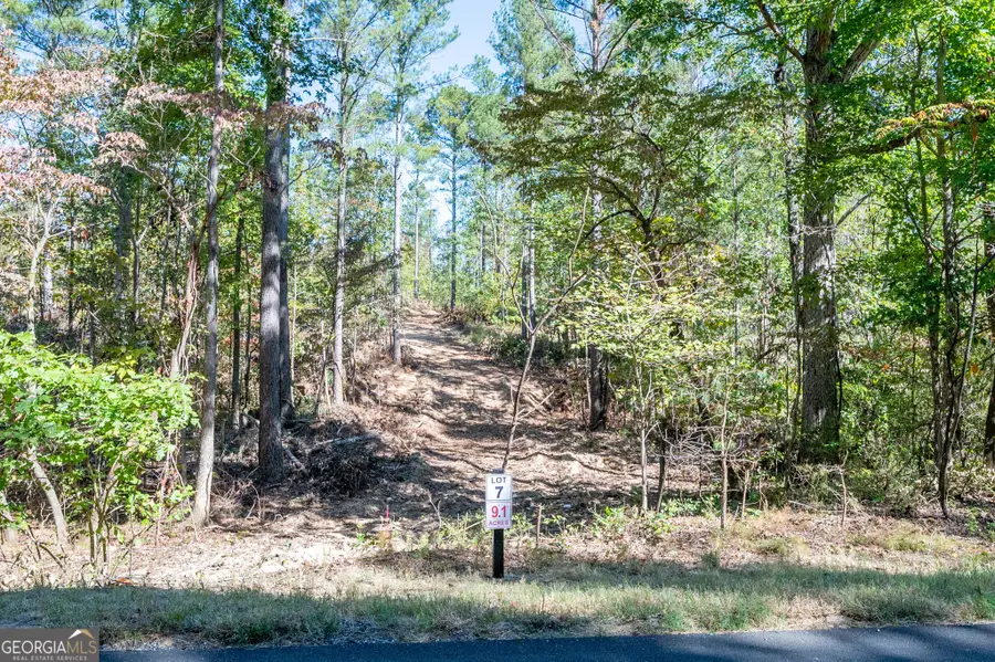 3809 Hwy 140 Ne, Rydal, GA 30171 - Image #2