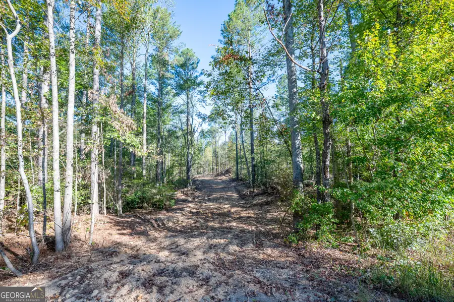 3859 Hwy 140 Ne, Rydal, GA 30171 - Image #2