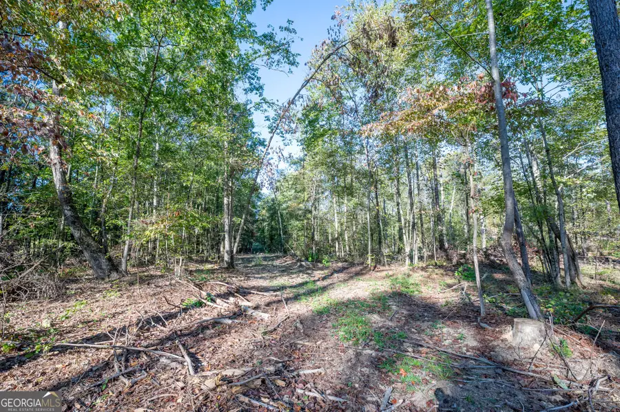 3859 Hwy 140 Ne, Rydal, GA 30171 - Image #3