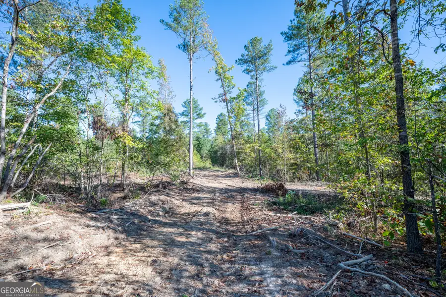 3863 Hwy 140 Ne, Rydal, GA 30171 - Image #2