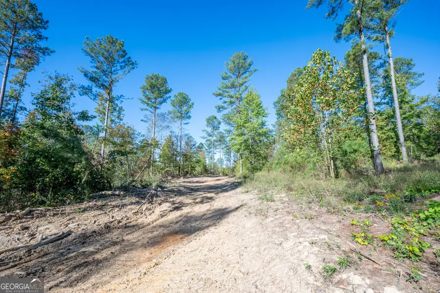 3863 Hwy 140 Ne, Rydal, GA 30171 - Image #3