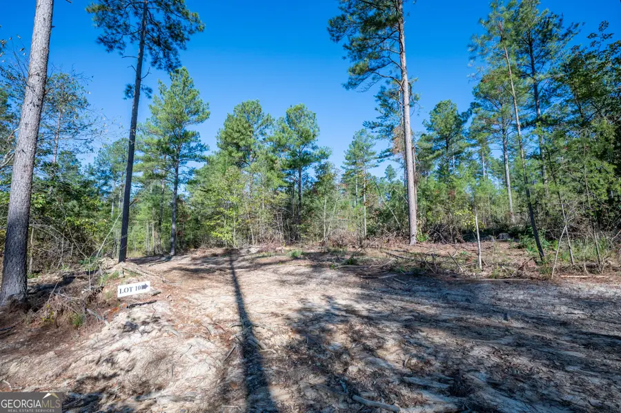 3867 Hwy 140 Ne, Rydal, GA 30171 - Image #2