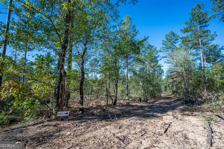 3867 Hwy 140 Ne, Rydal, GA 30171 - Image #3