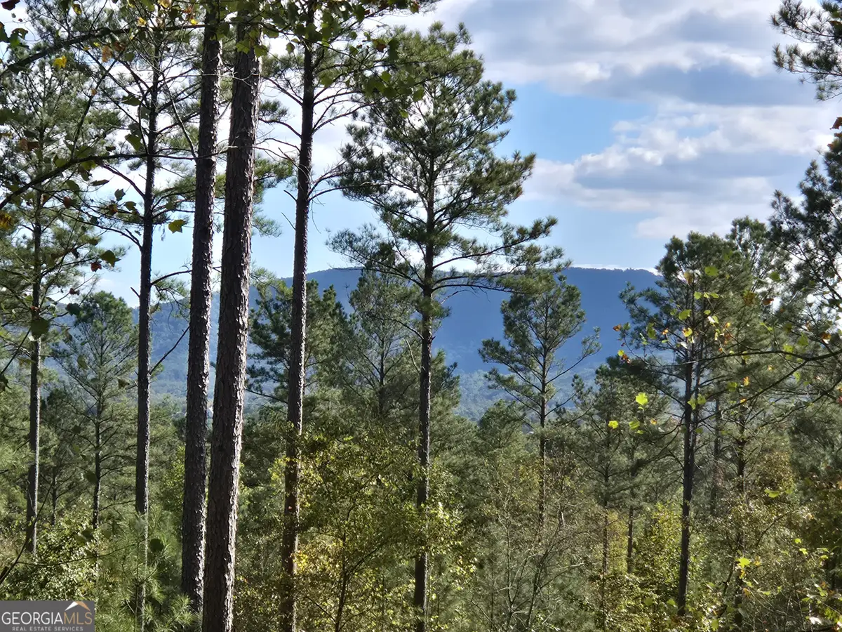 3871 Hwy 140 Ne, Rydal, GA 30171 - Image #1